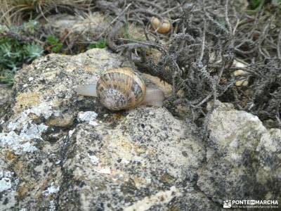 Geoparque Costa Quebrada - Valles Pasiegos;concejo de somiedo fotos de monasterios campo girasoles s
